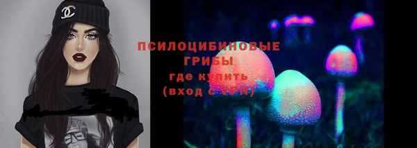 соль ск Куйбышев