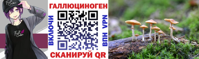 мориарти состав  Искитим  Галлюциногенные грибы Magic Shrooms 