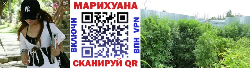 купить наркотики цена  Искитим  Шишки марихуана THC 21% 